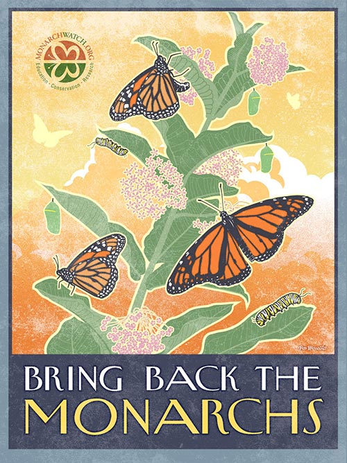 Bring Back the Monarchs